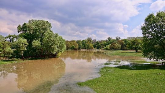 Lubelskie: Wzrost poziomu wód w rzekach i lokalne podtopienia. Ostrzeżenie przed skutkami burz