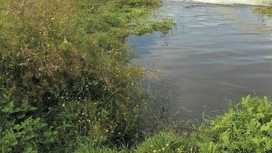Lubelskie. Z rzeki wyłowiono ciało