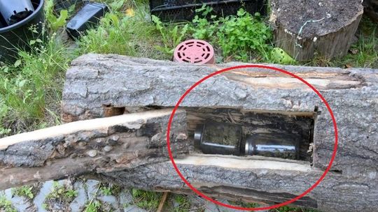 Lubelskie: Zaskakujące odkrycie policjantów. Pniak drzewa, a w środku wydrążony schowek
