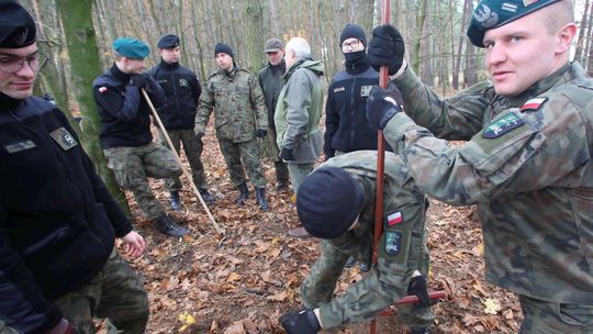 Lubelskie: Znaleziono szczątki żołnierzy w lesie w Poleskim Parku Narodowym