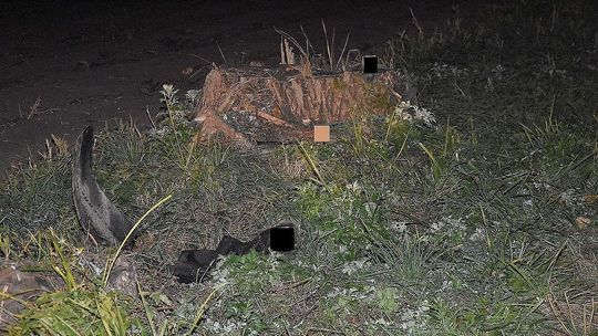 Lubelskie: Zobaczył leżącego przy drodze sąsiada. Szukają kierowcy, który go przejechał