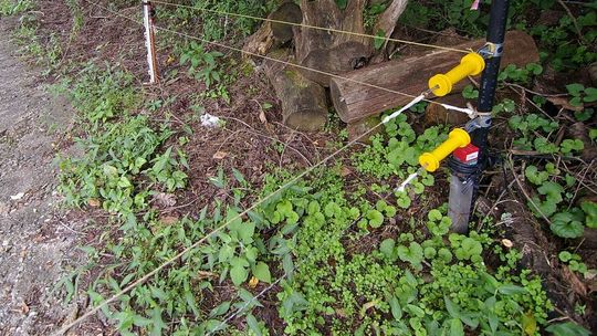 Lubelskie: Zrobił pułapkę na bobry. Zabiła człowieka