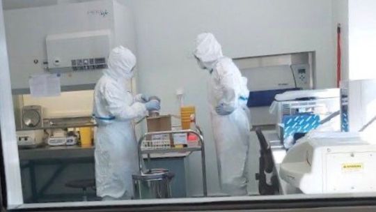 Lubelskie zwiększa liczbę testów na koronawirusa. Działa drugie laboratorium