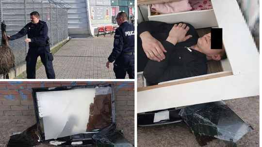 Lubelszczyzna 2025: przegląd nietypowych interwencji kryminalnych