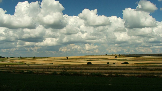 Lubelszczyzna: ile naprawdę o niej wiesz? Sprawdź się w naszym quizie