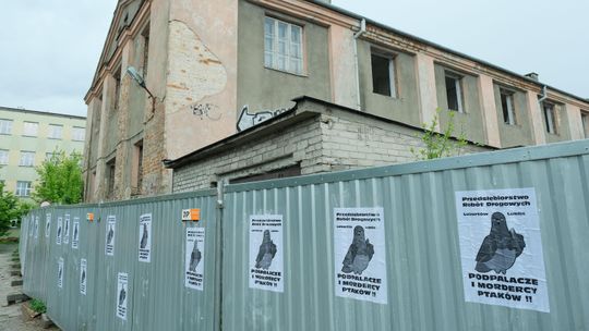 Lublin: Autor plakatów oskarża drogowców o mord na ptakach. Jest reakcja firmy
