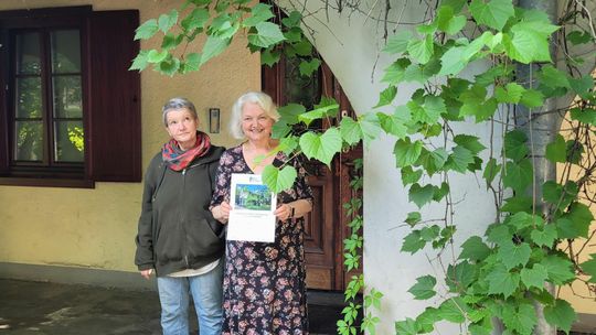 Lublin: bajkowy zakątek opleciony pnączami