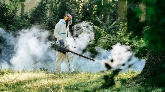 Lublin: Będą odkomarzać po raz drugi. Pod warunkiem, że nie będzie padać
