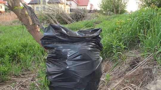 Lublin będzie miał problem z odpadami zielonymi