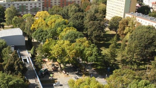 Lublin: Będzie plac im. prof. Seidlera. PiS: On służył systemowi, który mordował ludzi