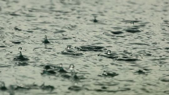 Lublin: Będzie więcej pieniędzy dla łapiących deszcz. Zainteresowanie jest ogromne