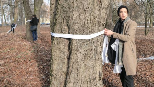 Lublin: Będzie wycinka drzew pod budowę bloków? Decyzja urzędu zaskarżona
