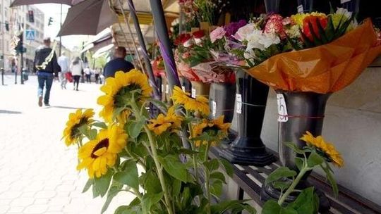 Lublin: Biorą się za murek z kwiatami