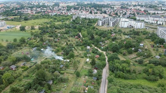 Lublin. Bloki zaraz obok ogródków działkowych? Co planuje Ratusz?
