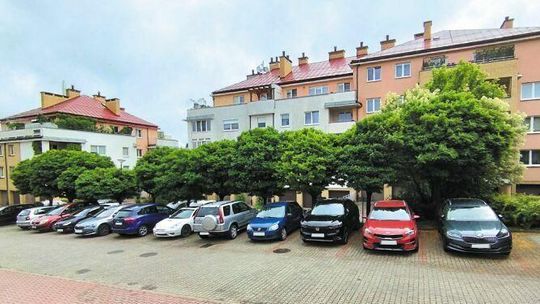 Lublin. Bo drzewa "zagrażają samochodom". Spółdzielnia chce ciąć