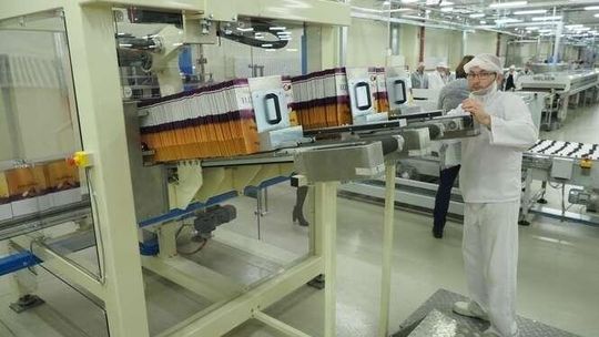 Lublin: Budowa tej fabryki kosztowała 153 mln zł. Pracuje tu już 195 osób [zdjęcia]