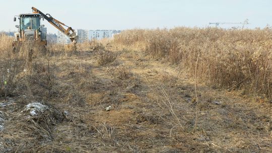 Lublin: Budowa wgryza się w górki czechowskie. Aktywiści protestują