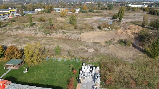 Lublin: Budują magazyny, szykują ostre cięcie drzew
