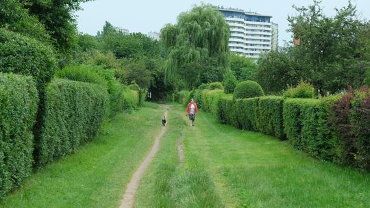 Lublin: Były projekty, gdzie efekty? Te inwestycje trafią do zamrażarki