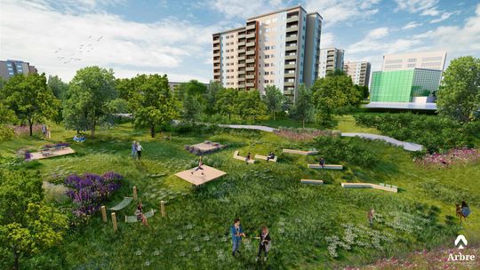 Lublin. Chcą startować z urządzaniem nowego parku. Zaczną od "leśnego korytarza"