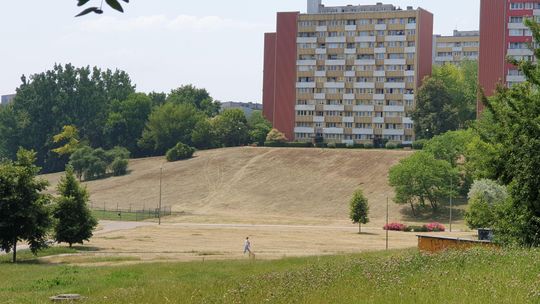 Lublin chwali się, że "dba o zieleń i dobre nawodnienie". Tymczasem wąwóz ogolony do gołej ziemi