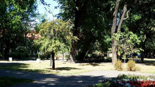 Lublin: Ciemno jak w parku Bronowickim. "Nie świeci około jednej trzeciej latarni"