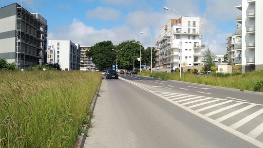 Lublin: Czy uda się uniknąć wycinki drzew? "Budowa tego fragmentu drogi jest kluczowa"