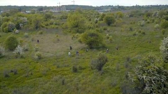 Lublin: Czy zwały ziemi zaszkodzą górkom czechowskim?