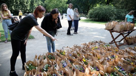 Lublin dał drugie życie kwiatom. Teraz zaopiekują się nimi mieszkańcy