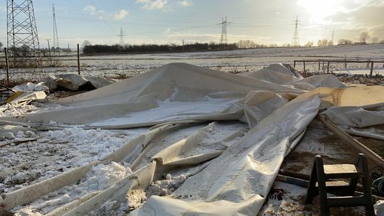 Lublin. Dewastacja stajni. Szukają świadków