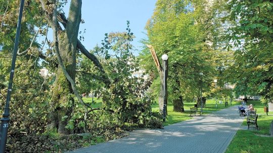 Lublin. Dlaczego sprzątanie po wichurze trwa tak długo?