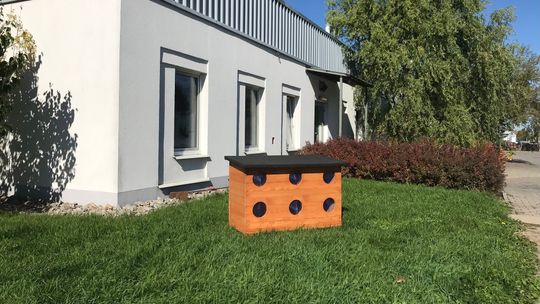 Lublin. Domki z kocimi "kawalerkami" zostaną ustawione na osiedlach