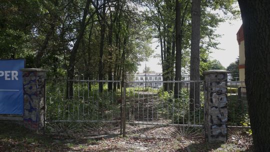 Lublin: Drzewa czy nowe bloki? Deweloper czeka na zgodę na wycinkę