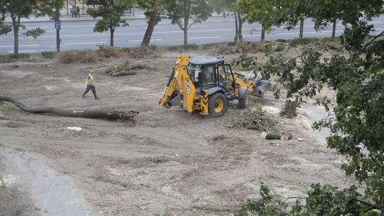 Lublin: Duża wycinka drzew przy Al. Racławickich. To inwestycja firmy należącej do znanego miliardera [wizualizacje]