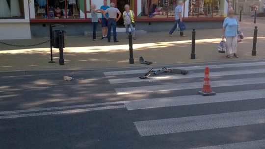 Lublin: Dziecko na hulajnodze potrącone na przejściu dla pieszych. Kierowca ujęty przez świadków