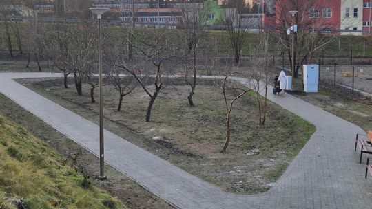 Lublin inwestuje kolejne pieniądze w zieleń. Tutaj będą nowe skwery