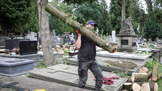 Lublin. Już 1500 uszkodzonych drzew, 100 samochodów