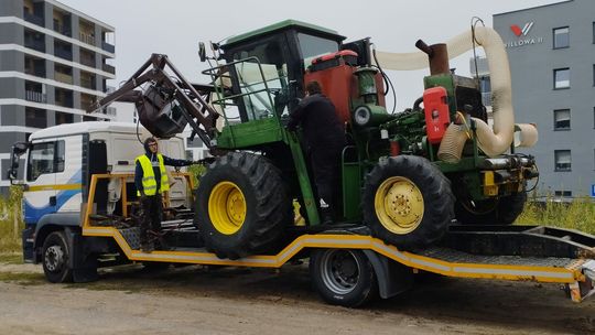 Lublin. Już dziś odbędą się żniwa na osiedlowym polu konopi