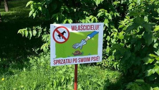 Lublin: Kampania przekonująca do sprzątania po swoim psie