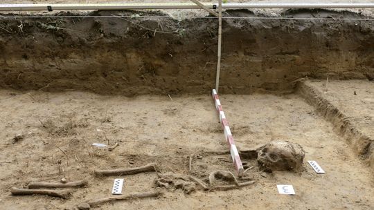 Lublin: Kolejne odkrycie archeologiczne w Ogrodzie Botanicznym