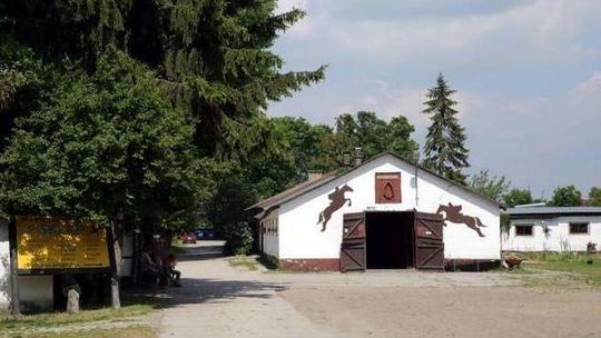 Lublin: Konie zostaną na terenie zajmowanym obecnie przez LKJ? Tego chce miasto