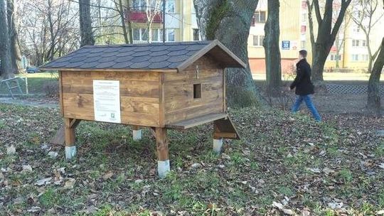 Lublin: Koty „stanowią dobro ogólnonarodowe”. Urząd stawia im domki