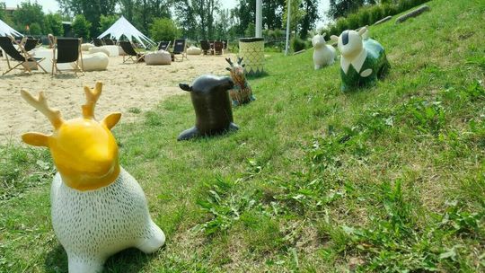 Lublin. Krasnale ogrodowe muszą odejść