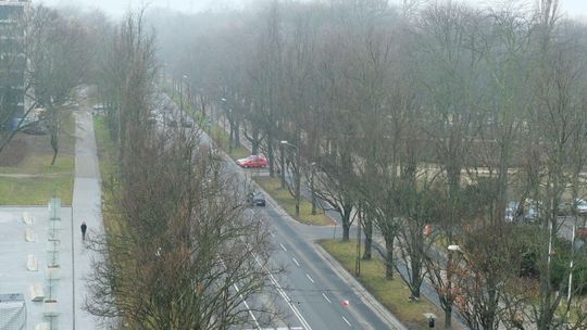 Lublin: Kto i za ile rozbuduje Al. Racławickie? Wycinki realne, jak nigdy wcześniej