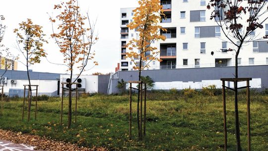 Lublin: Lidl przegrał w sądzie. "Znaczący dyskomfort oraz uciążliwość”