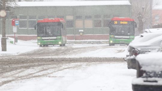 Lublin: linie podmiejskie wróciły na trasy