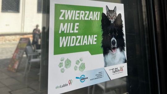Lublin lubi zwierzaki. W tych miejscach zjesz, poczytasz czy zrobisz zakupy w towarzystwie pupila 