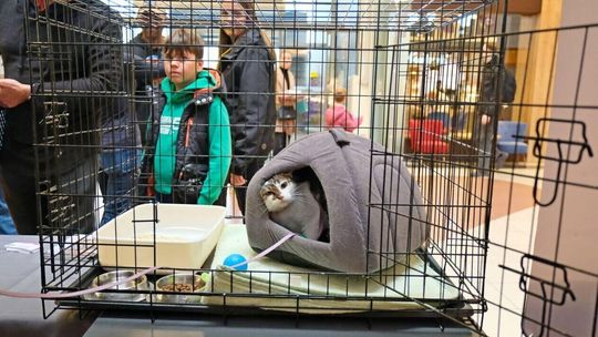 Lublin lubi zwierzęta! Pokazali to w galerii olimp