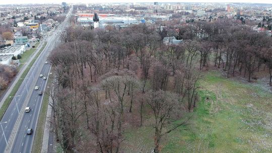 Lublin. Ludzie są przeciwko, ale władza chce umożliwić budowę w zabytkowym parku