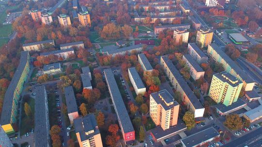 Lublin ma problem z dzikimi lokatorami. Zajmują już ponad 300 mieszkań komunalnych